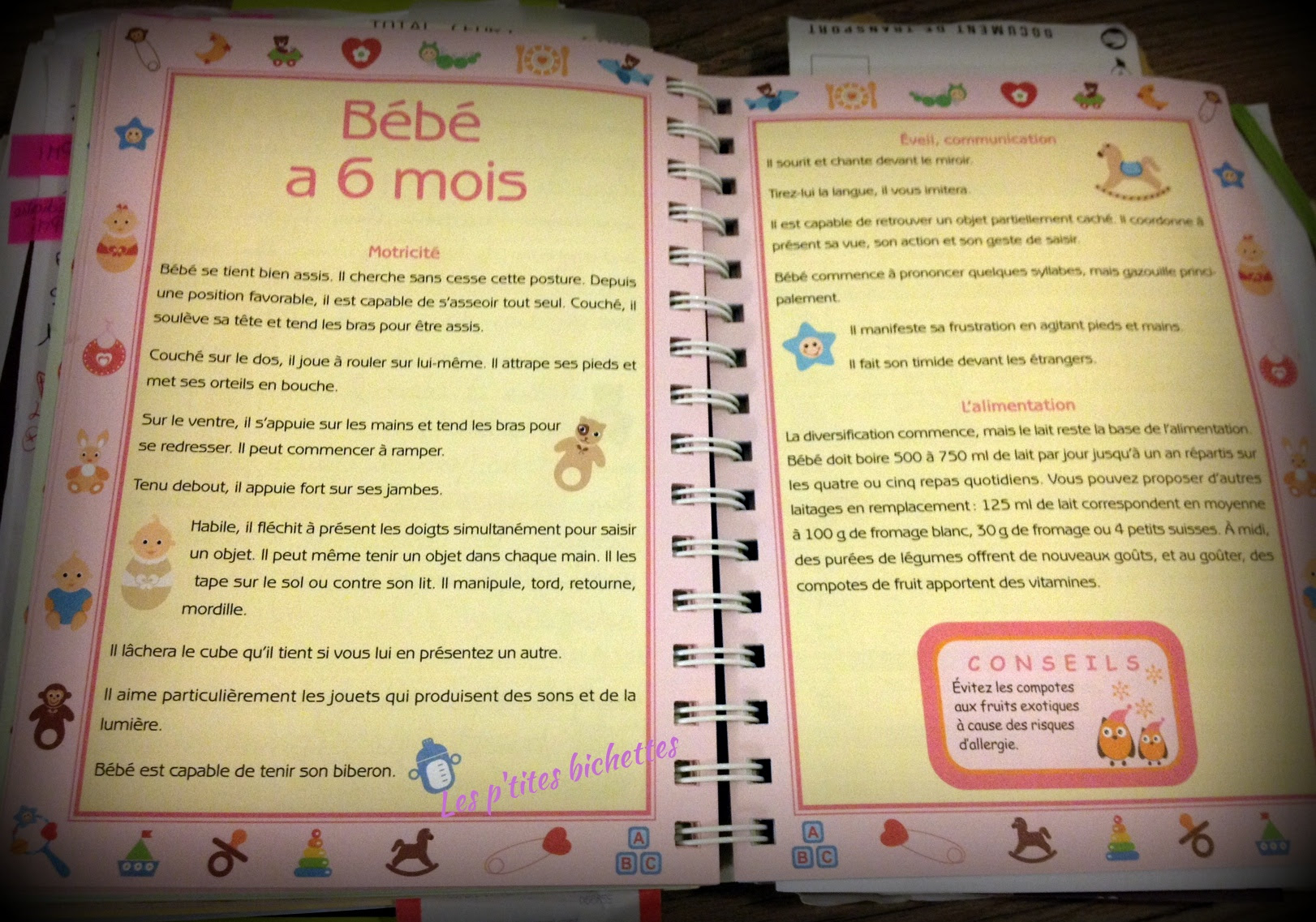 Les P Tites Bichettes Mon Carnet De Bebe Pour Tout Noter Les P Tites Bichettes