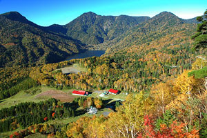 尾瀬岩鞍旅館組合 紅葉情報