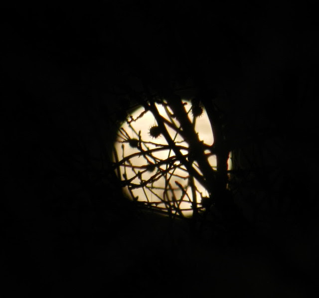 skywatcmDSCN2888