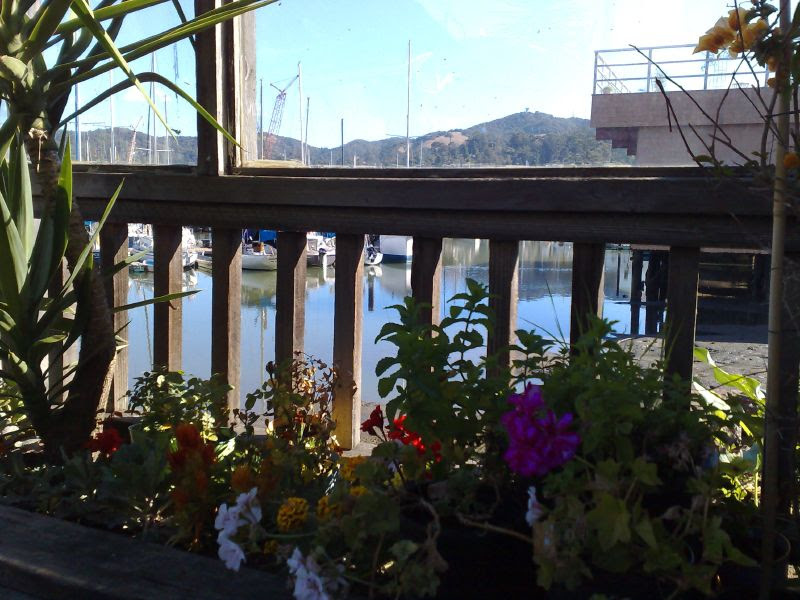 Pier 15 Deck