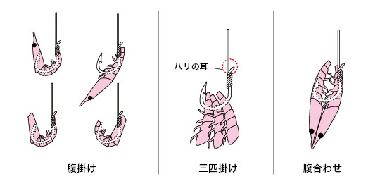 ウキ釣り超入門 ウキ釣りのツケエとハリについて