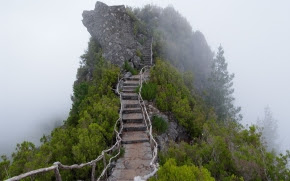 upward pathway