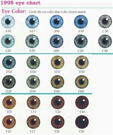  eye chart eye color chart eye color facts eye color chart genetics