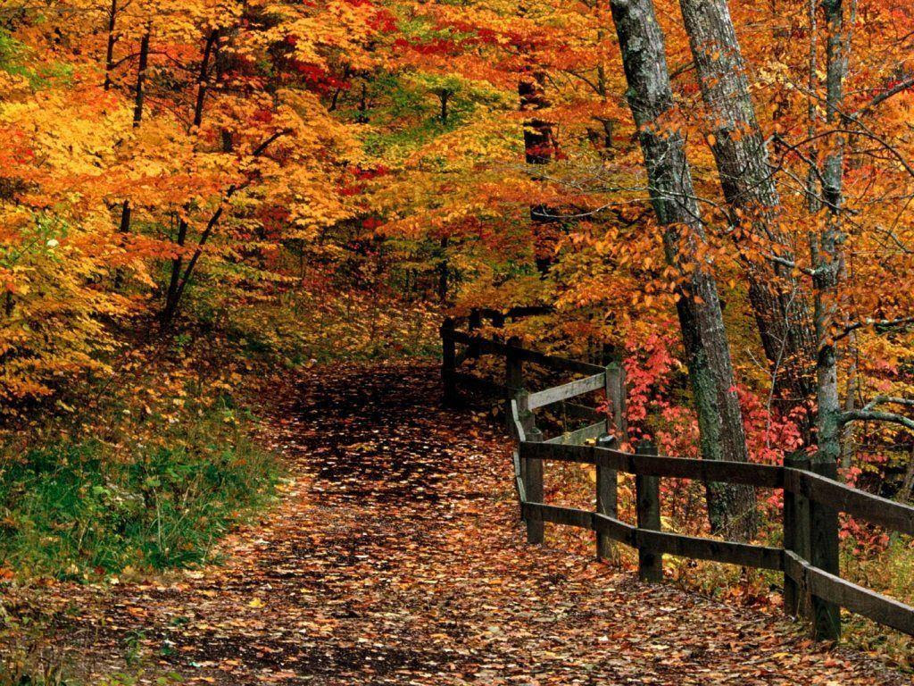 Free Desktop Wallpapers Fall Scenes - Wallpaper Cave