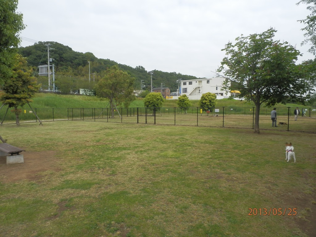 藤沢市大庭のドッグラン１ 紙バカ集団が綴る炎の日々