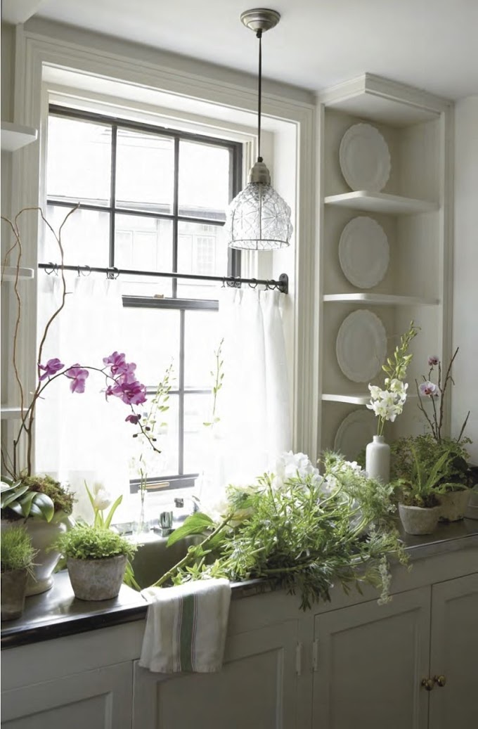 Kitchen Window Ideas With Plants
