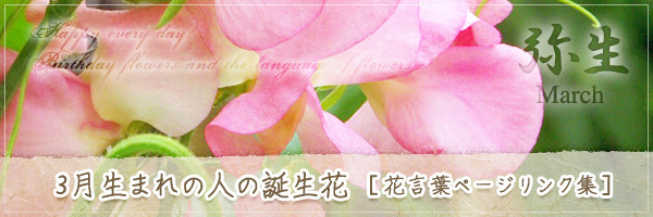 3月生まれの人の誕生花 の花言葉 誕生花 チルの工房 无域屋 花札庵
