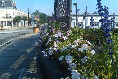 Main St: flowers on the RR bridge