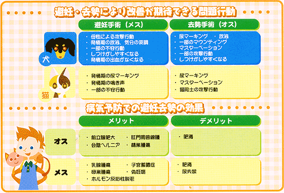 つづき動物病院 幸田町 蒲郡市 岡崎市 幡豆町 都築動物病院