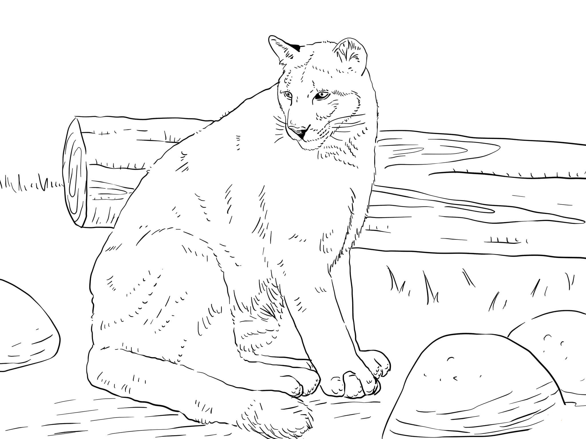 Colouring Pages Of Mountains - Scenery Coloring Pages for Adults - Best Coloring Pages ... / Some of the colouring page names are smoky mountains coloring for designlooter 2020, holidays to snowy mountain sunrise view coloring coloring sky, mountain alphabet s776e coloring, smoky mountains coloring smoky mountains coloring for 2019.