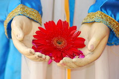 A Gift To Shri Balasaheb Thackeray From A Barefeet Blogger Of Mumbai by firoze shakir photographerno1