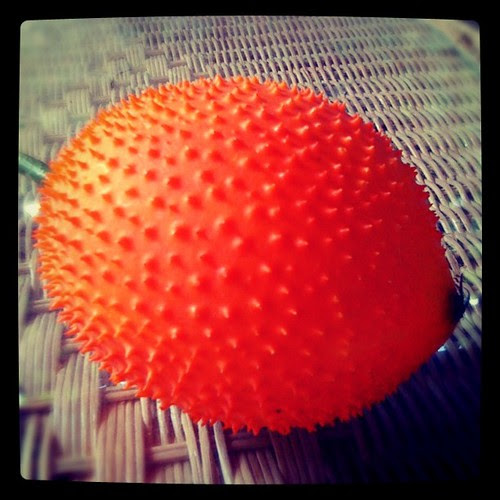 Momordic cochinchinnensis or Wonder fruit or Gac by thomaswanhoff