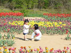 花パークフィオーレ小淵沢