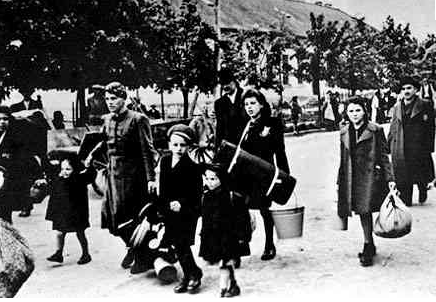 I never saw another butterfly