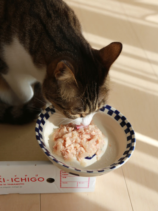 大丈夫だもん。