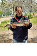 Canal de Youtube