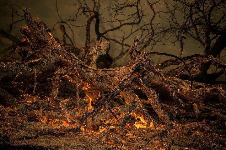 صور من العالم