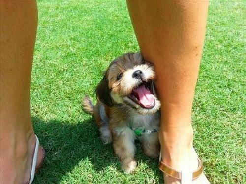 こっちまで幸せになる 心の底からのハッピーが伝わってくる写真13枚 らばq