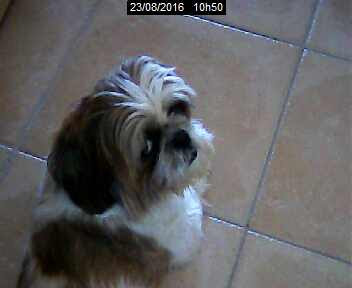 WEBCAM F6AGV