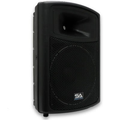 Seismic Audio - PWS-15 - Powered PA/DJ 15