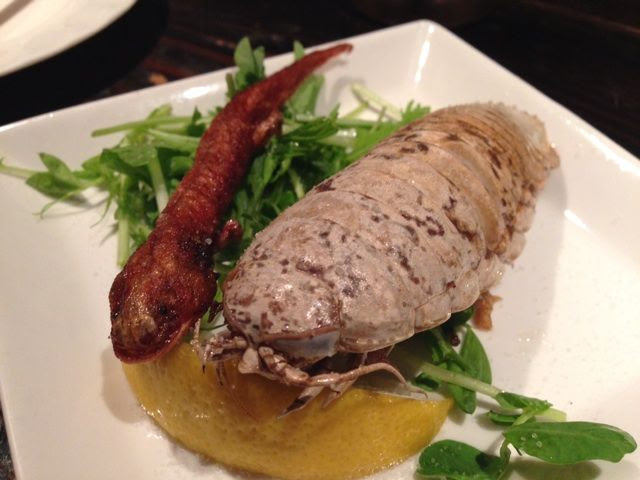ウーパールーパー オオグソクムシ ピラニア 食べました 野毛 珍獣屋 レポート Newsact