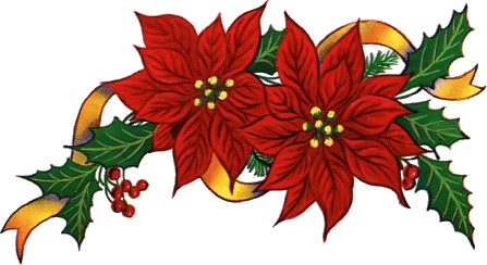 Stella Di Natale Fiore Stella Di Natale Fiore