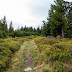 Koncertowy weekend z widokiem na Karkonosze