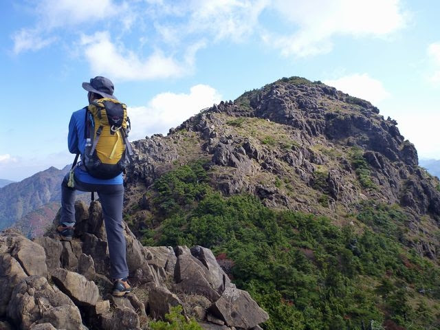 八巻山 東赤石山 12 10 三嶺さんぽ通信