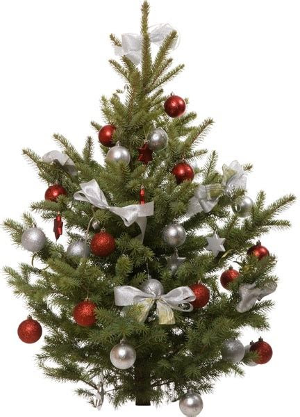 christmas tree images  stock