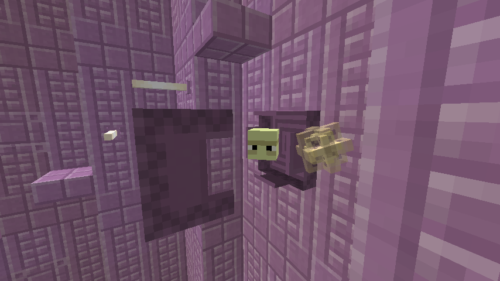 シュルカーの特徴と戦い方 エンドシティに生息する貴重なモンスターです ビビアンのマイクラ攻略ブログ