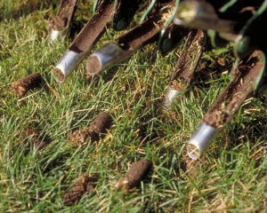Aeration