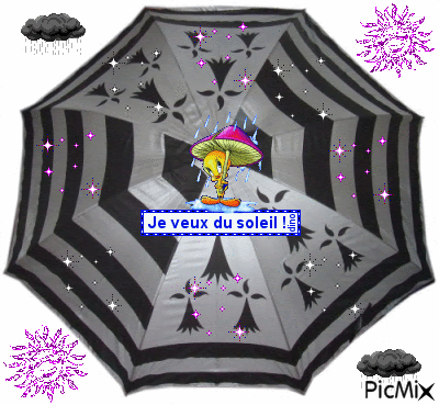 Marre De La Pluie Marie C