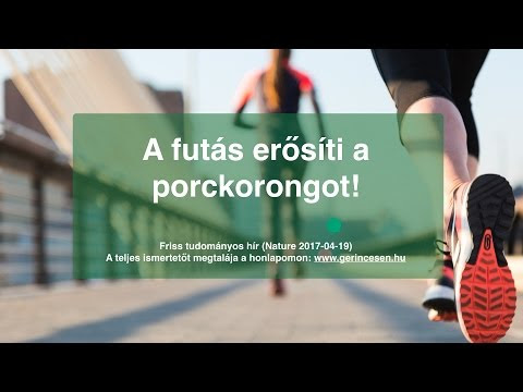 Kép