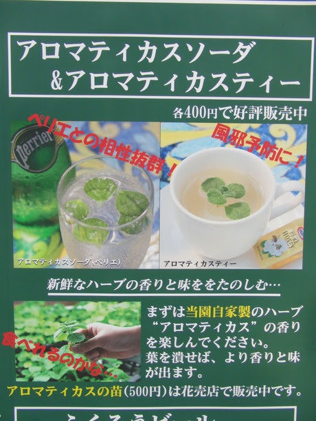 ハーブの アロマティカス を買ってきました トイレなお話 折り畳み仮設トイレ ええぞ くん 開発者ブログ