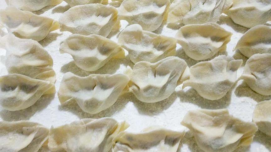 东北手工水饺批发 西瓜视频搜索