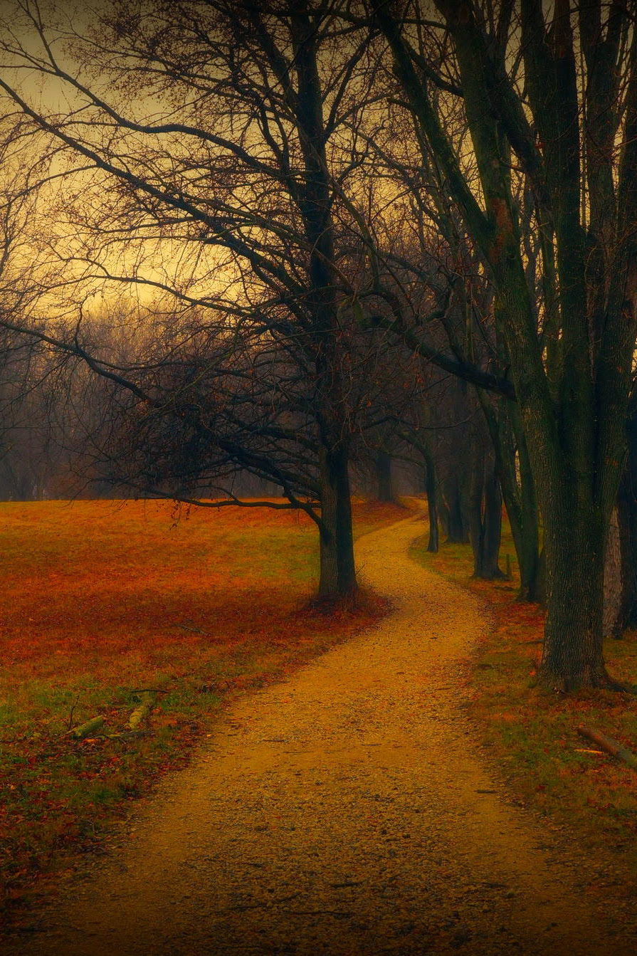 Autumn Dusk Pictures, Photos, and Images for Facebook 