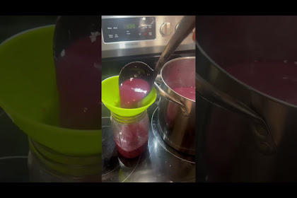 20+ Recipe For Blueberry Moonshine