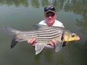 18+ Ikan Temoleh