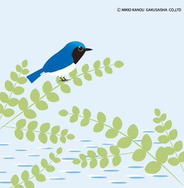 四季の野鳥イラスト ごちゃまぜカメラマン