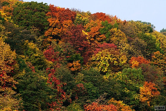 紅葉の藻岩山: Annex of TK Sports Shooting