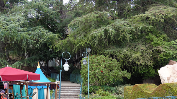 Disneyland Resort, Disneyland, Skyway, Chalet, Station
