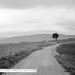 2_Le bonheur