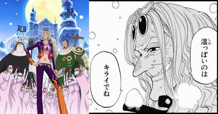 One Piece Dr くれは どくたーくれは の名言 セリフ集 心に残る言葉の力