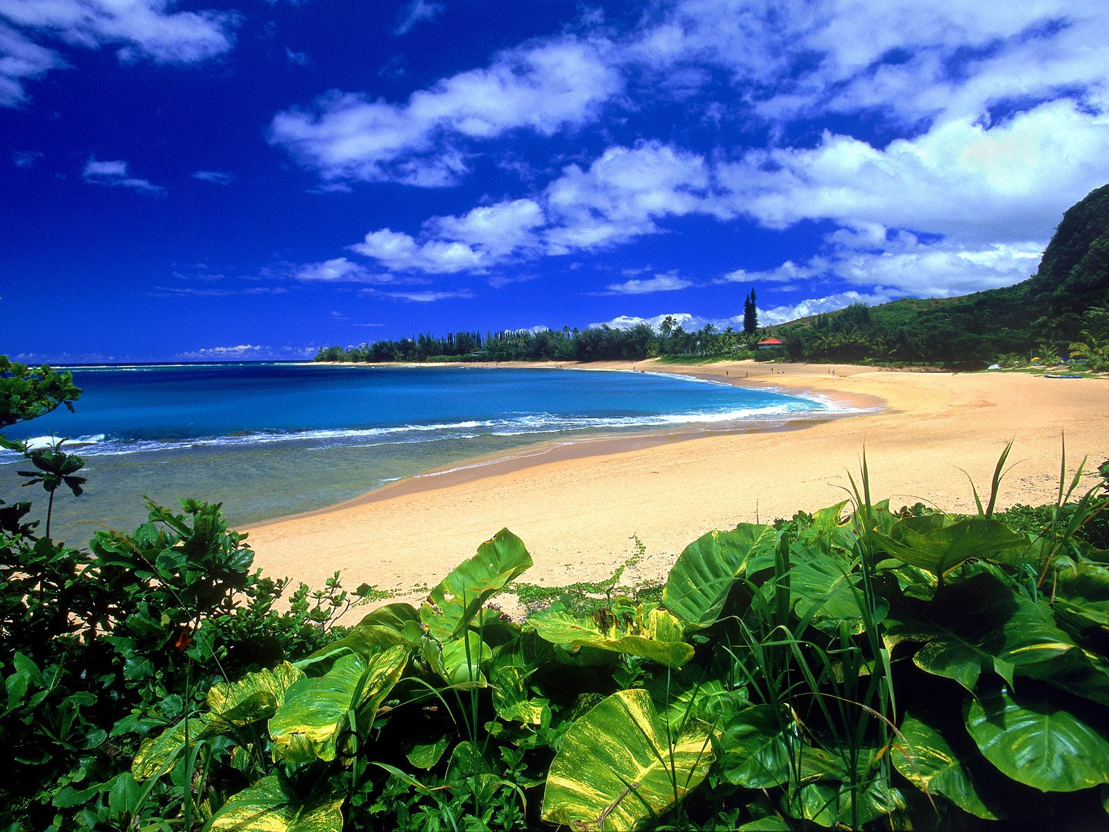 Haena Beach Kauai Hawaii Backgrounds powerpoint backgrounds