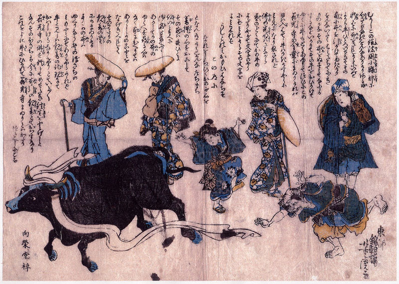 牛に引かれて善光寺まいり