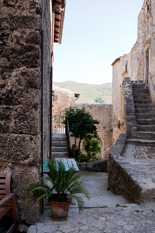 plantstefano