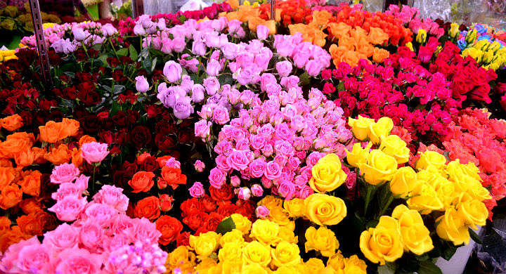 神奈川県平塚市の老舗花屋 花長 Hanacho ハナチョウ