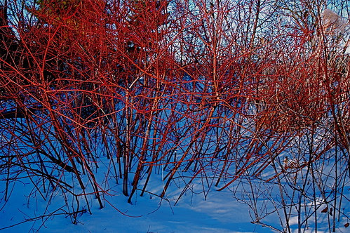 DSC_0054