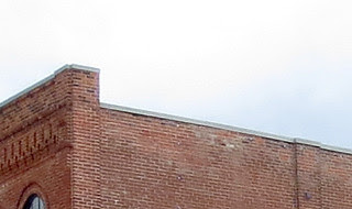 BurroughsPlant-4