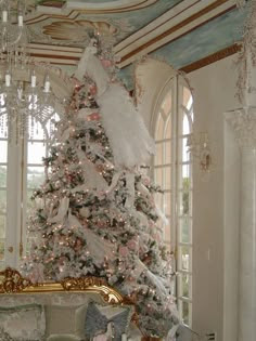 ツ Christmas Trees [